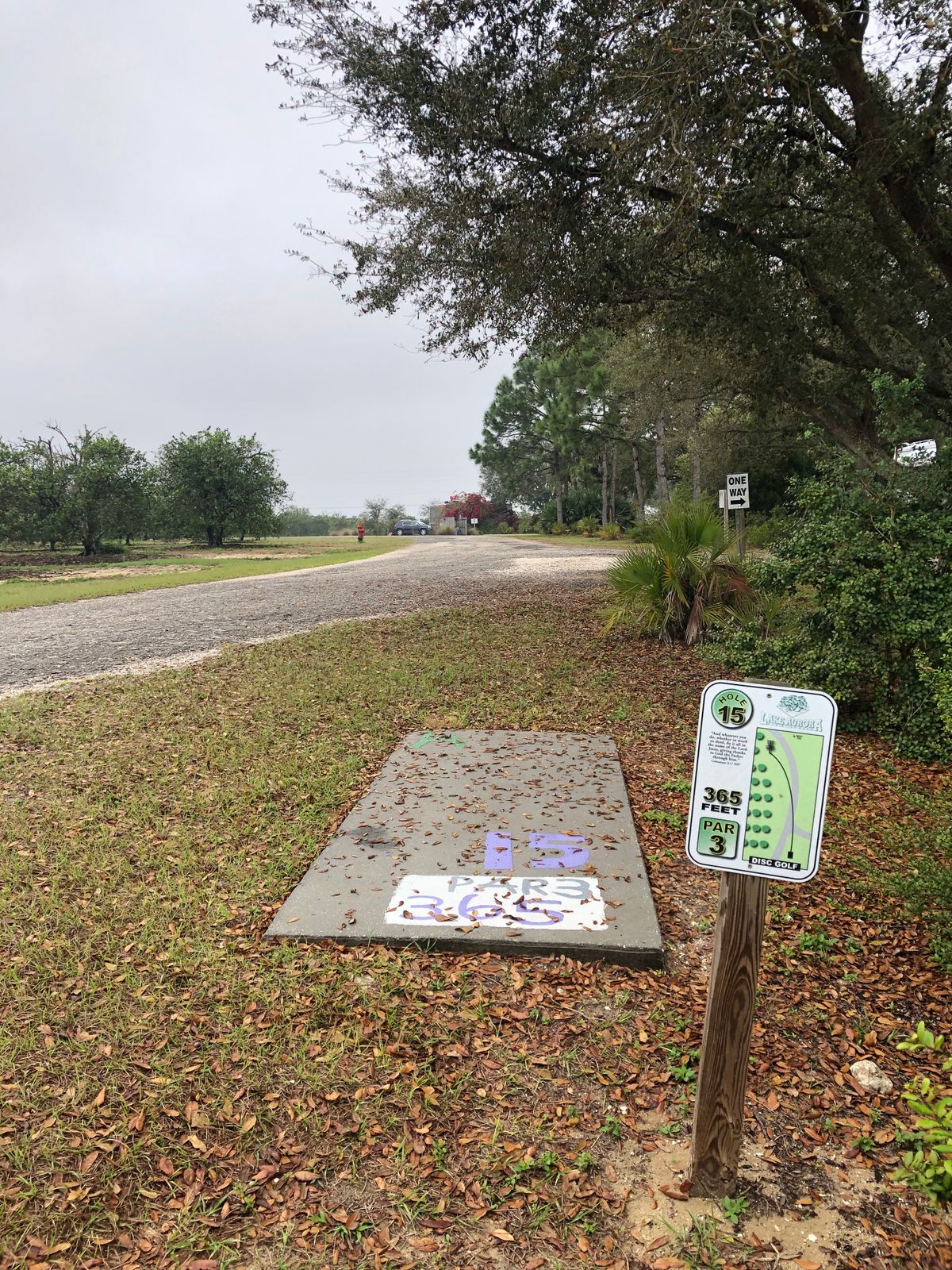 Hole 15 Tee Pad