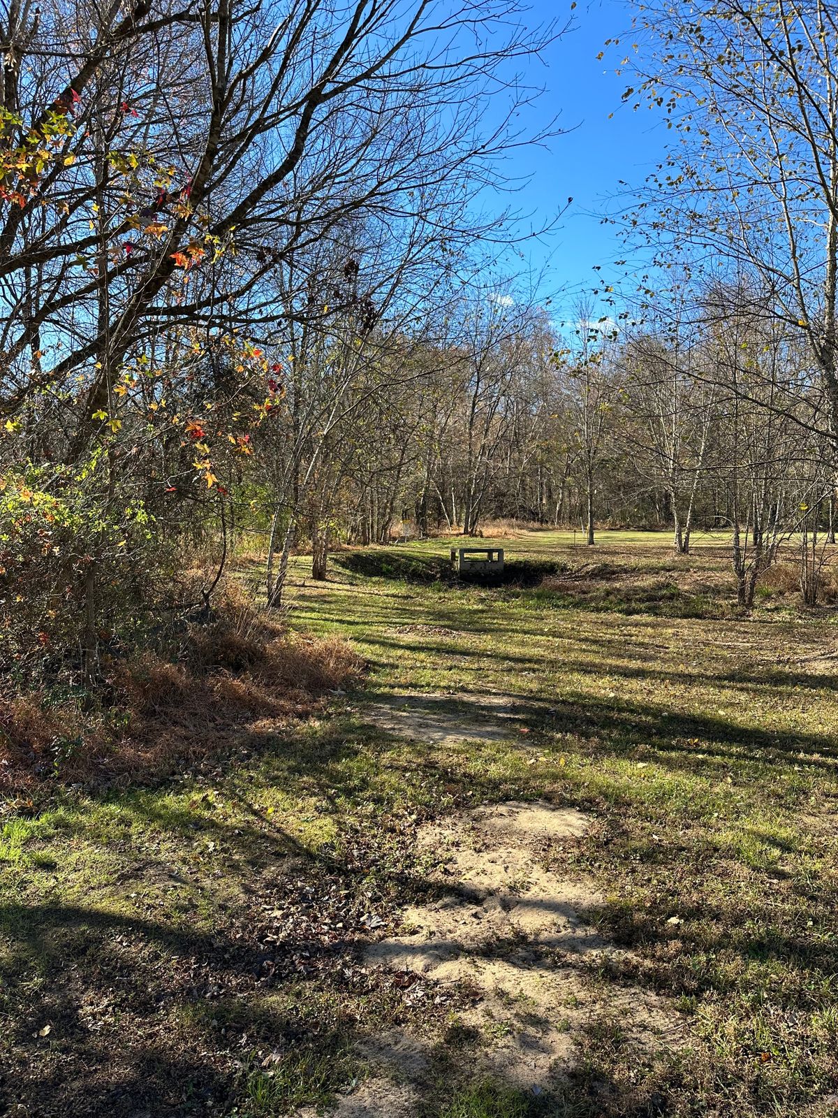Hole 4 - Short R to L over small retention area