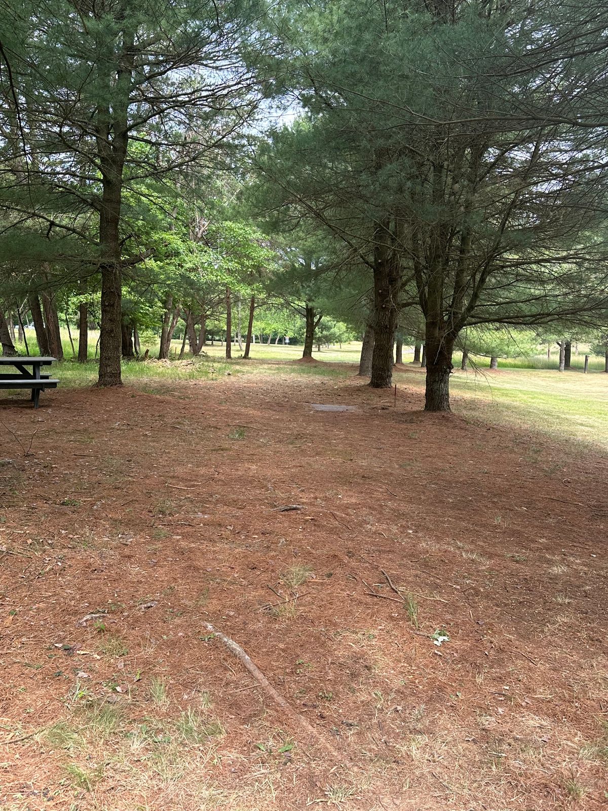 #18 long tee