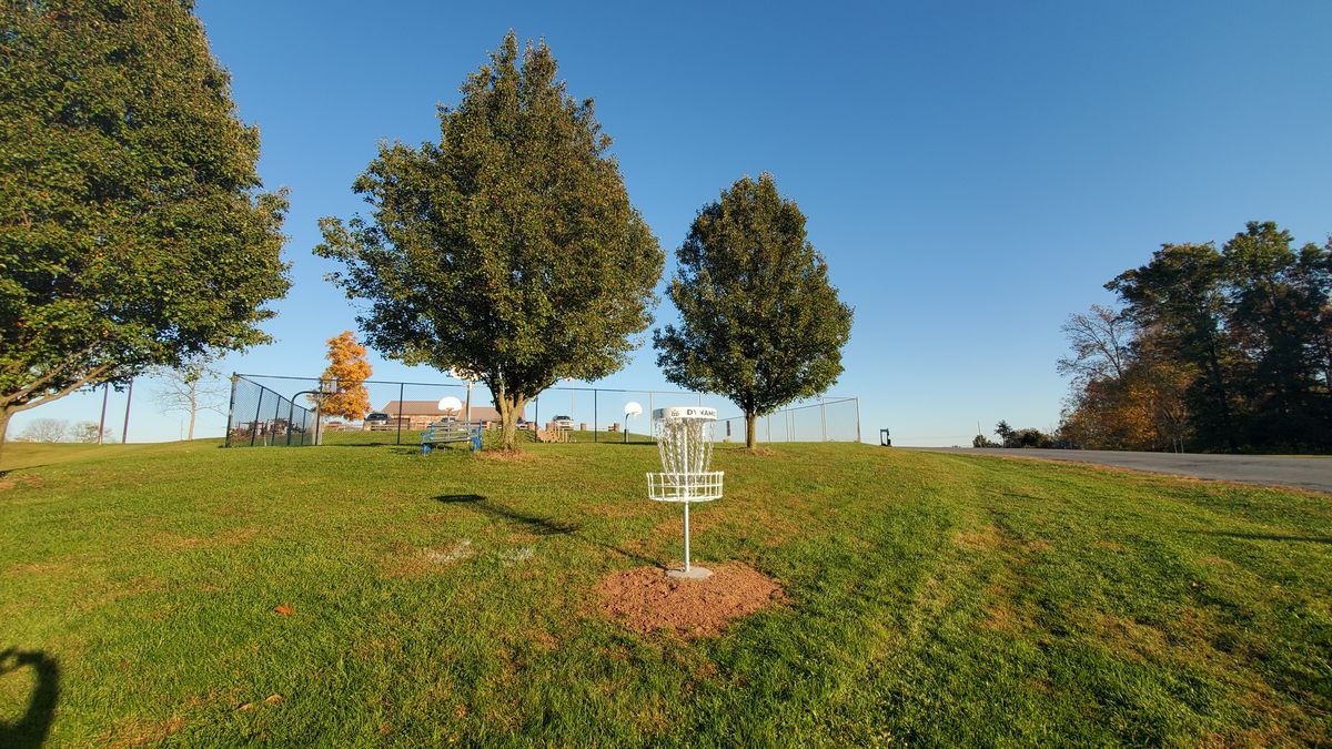 Hole 5 basket