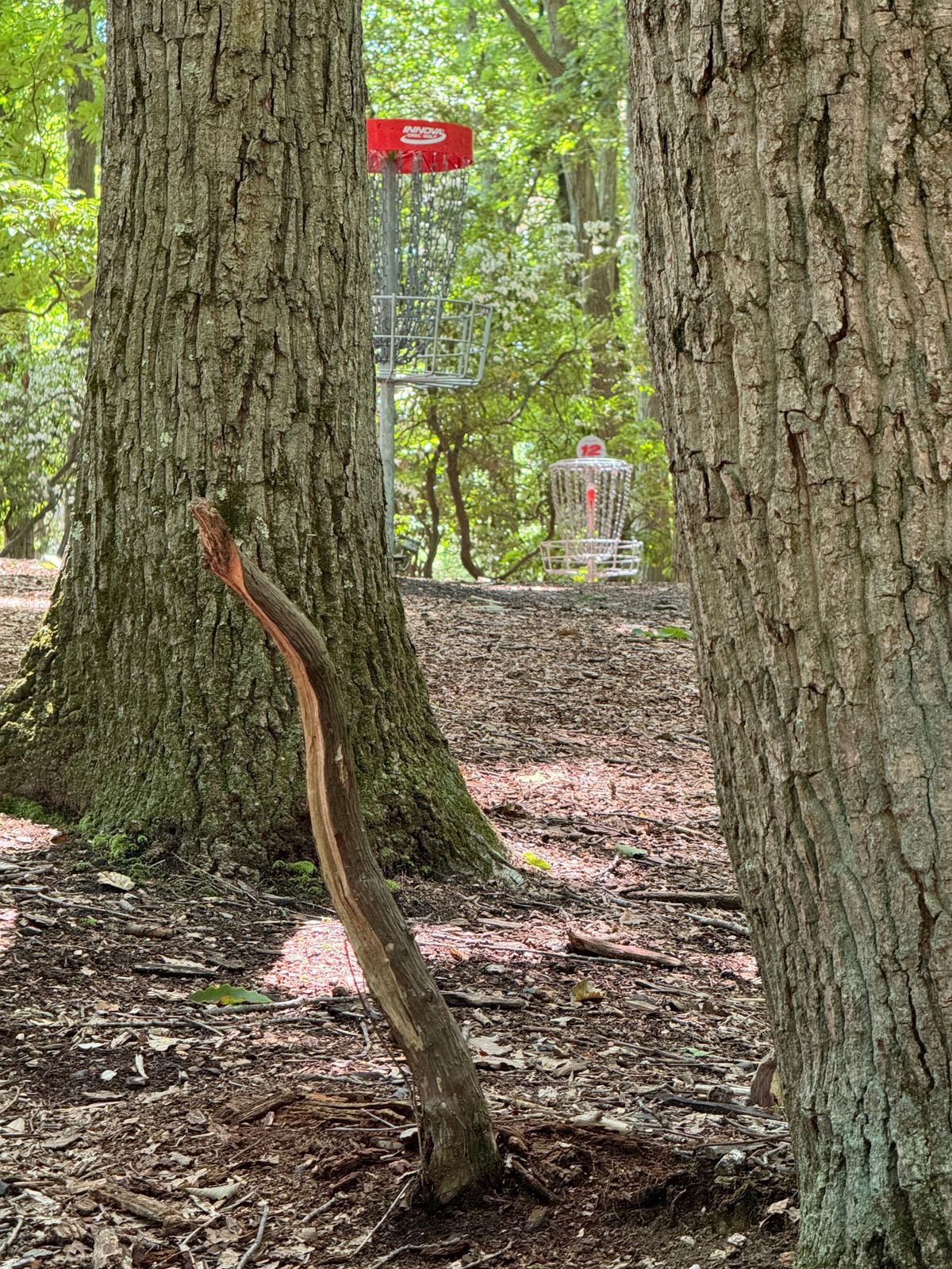 12.