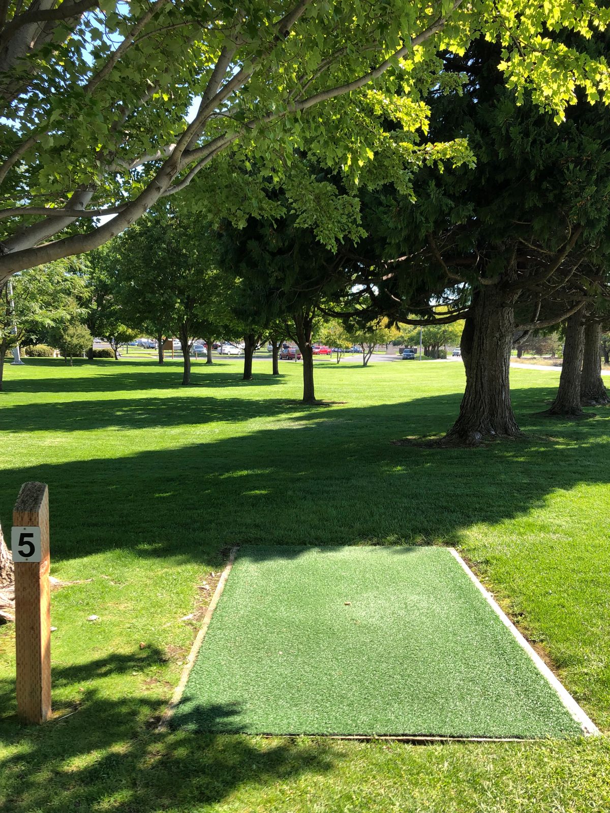 Hole 5 Tee pad