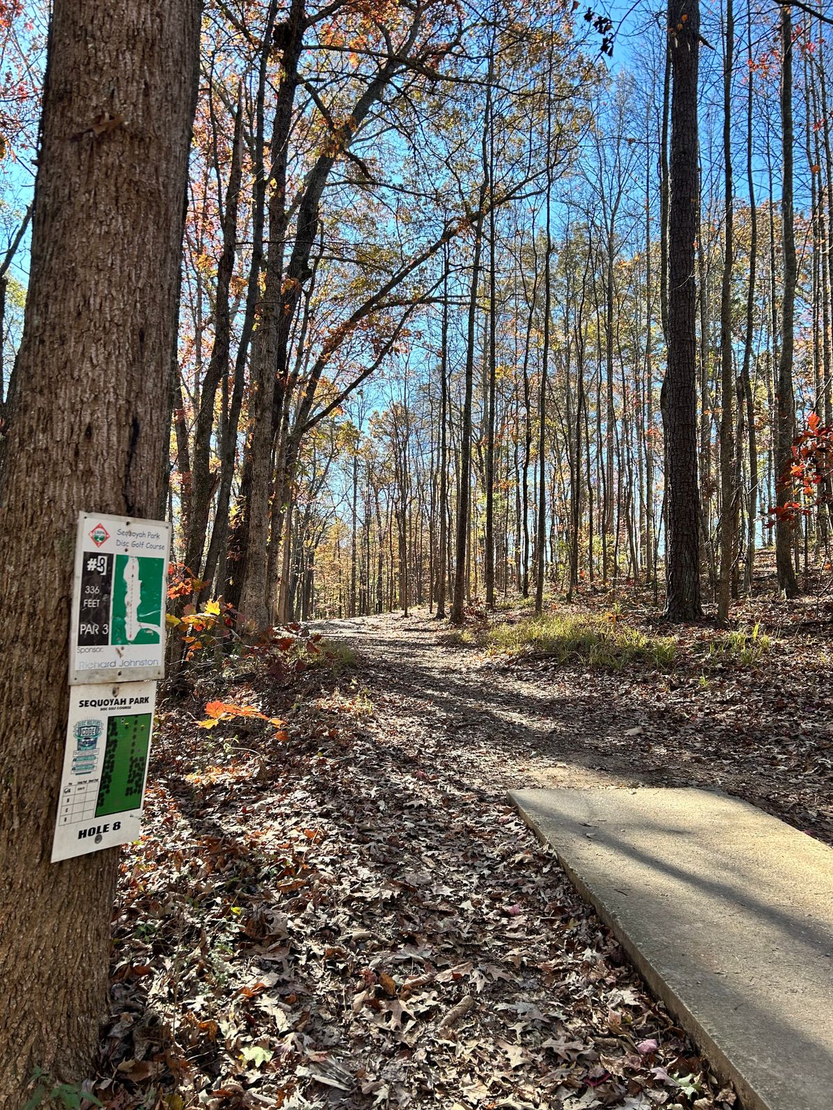 Hole 8 tee