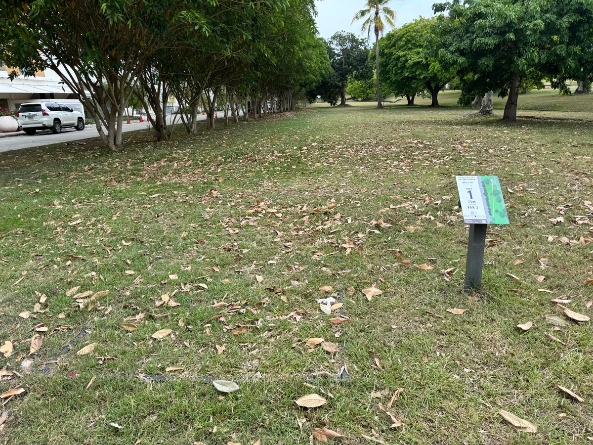Hole 1 tee