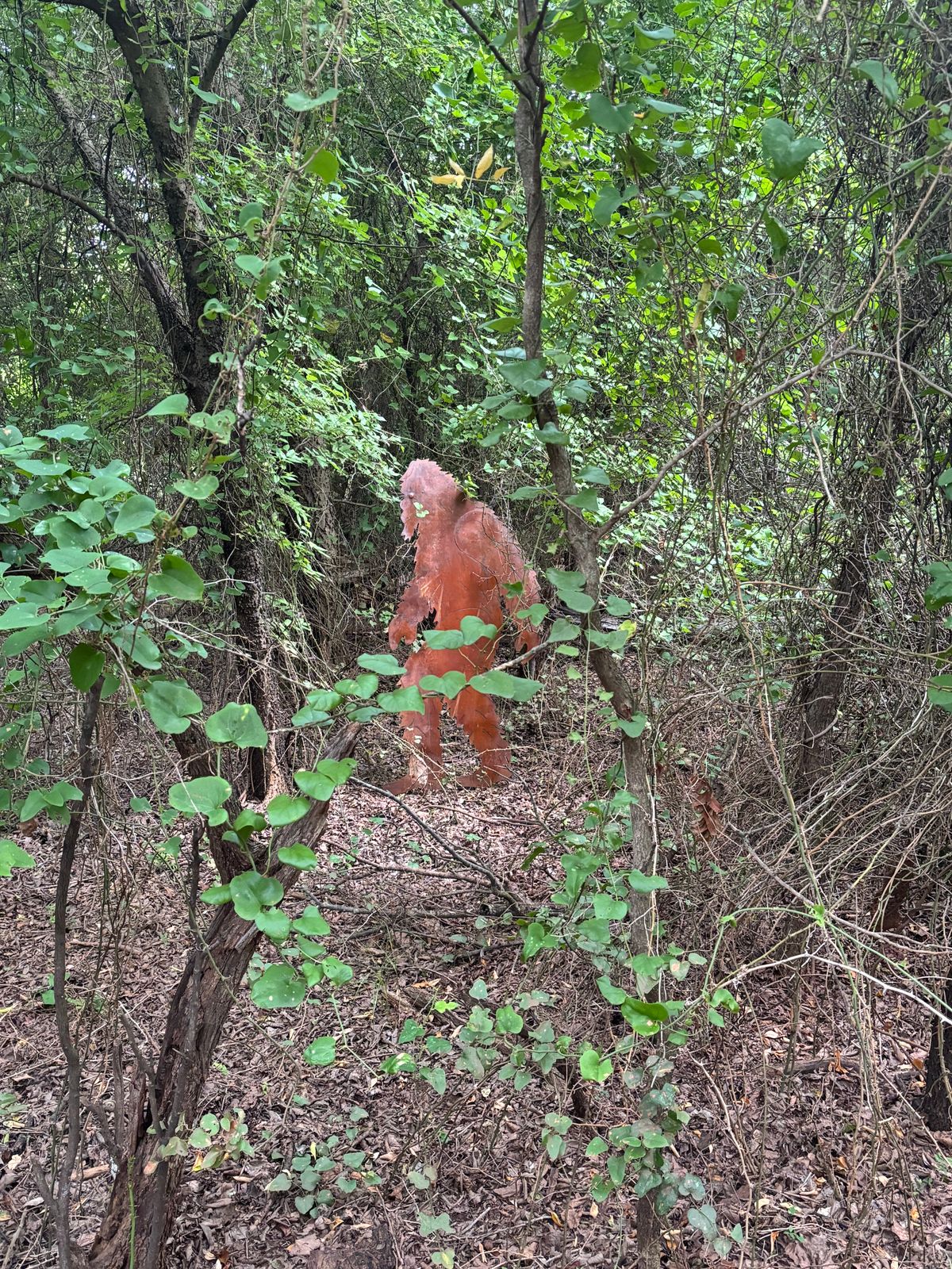 Bigfoot sighting on the path between basket #6 and Teebox #7!