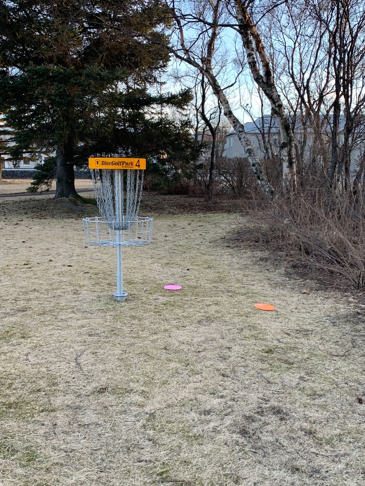 Hole 4