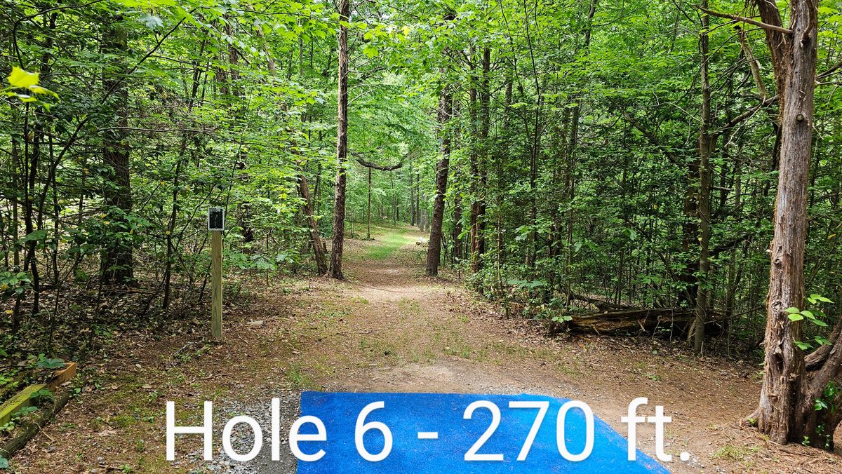 Hole 6 is a tight opening gap with a hard right finish at the end