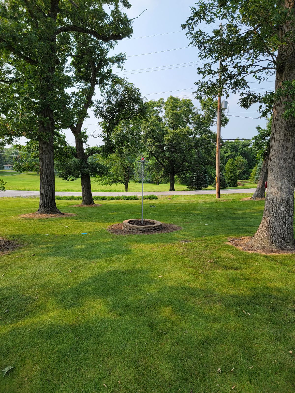 New elevated basket on 8