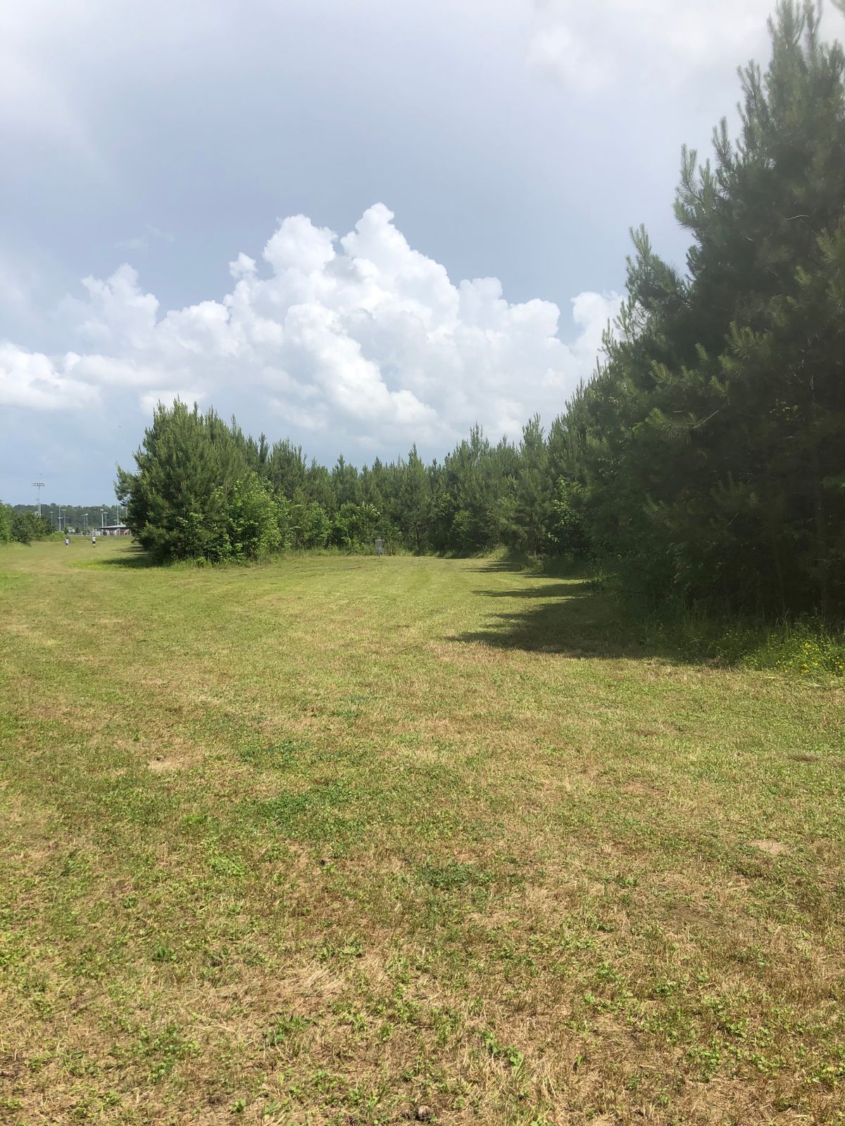 Hole 13