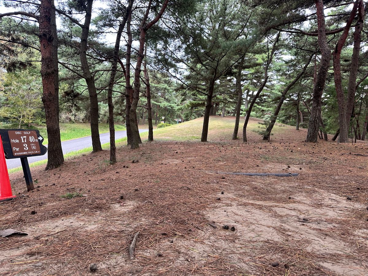 Hole 17