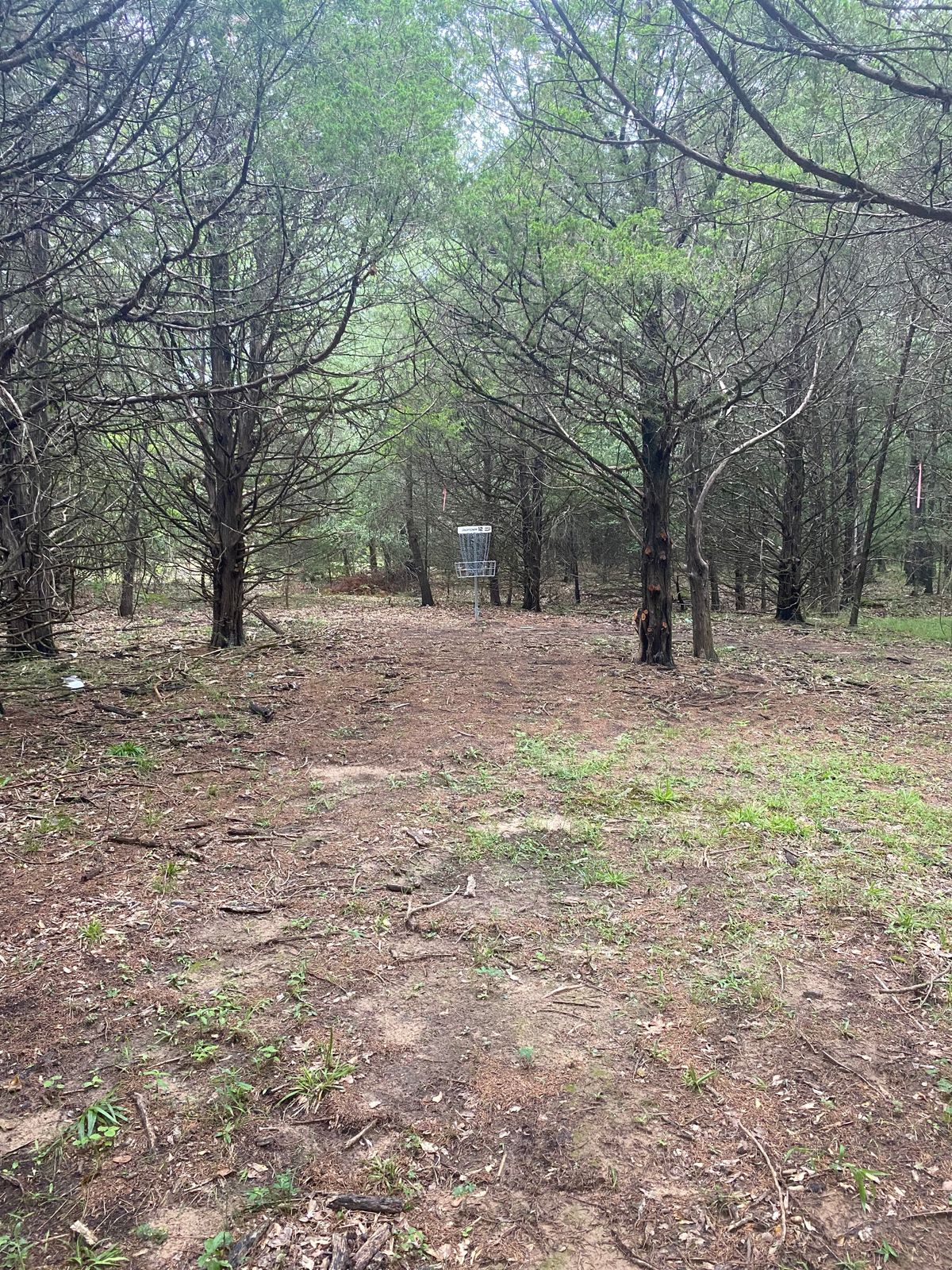 Hole 12 basket