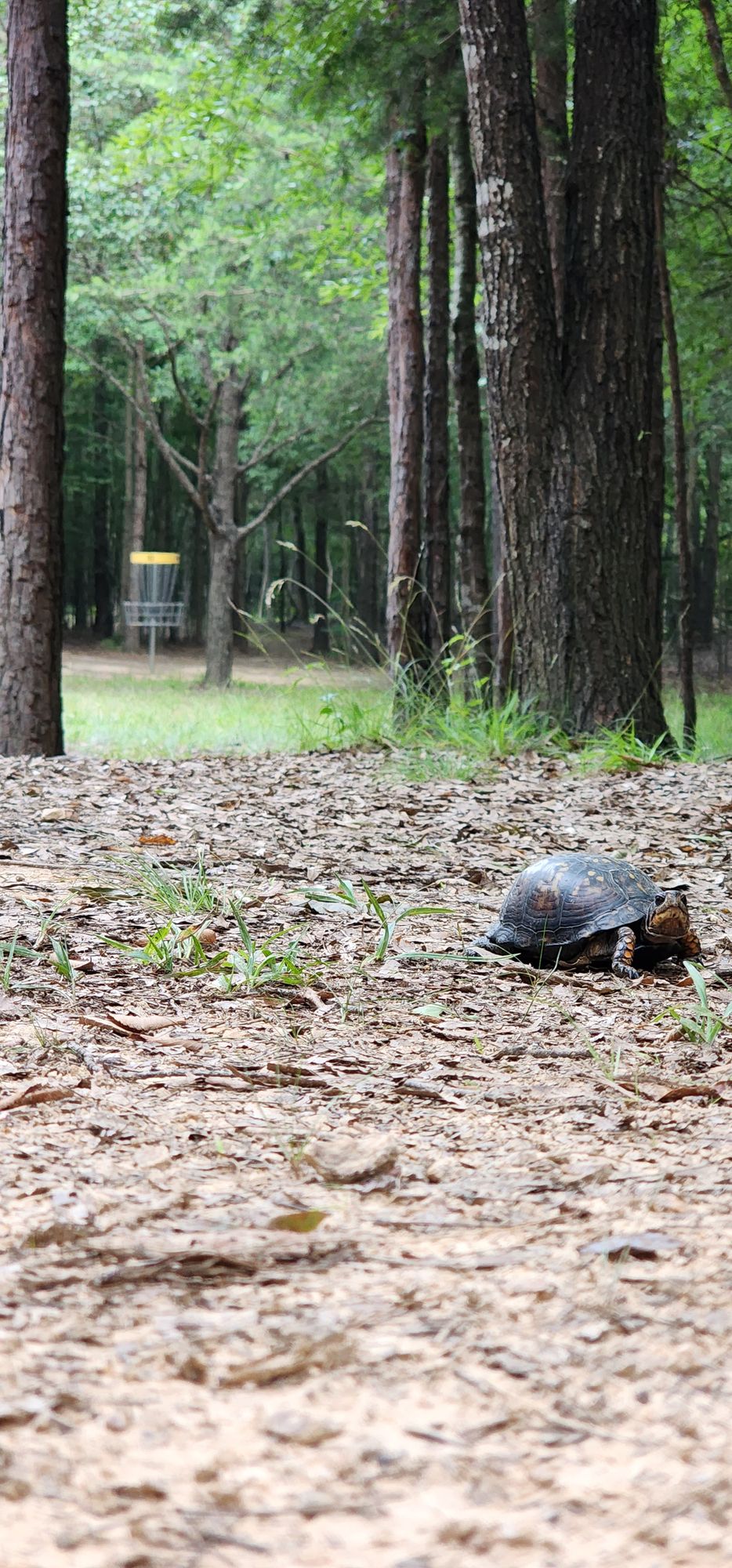 Found a chill dude on hole 10 🤙
