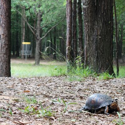Found a chill dude on hole 10 🤙