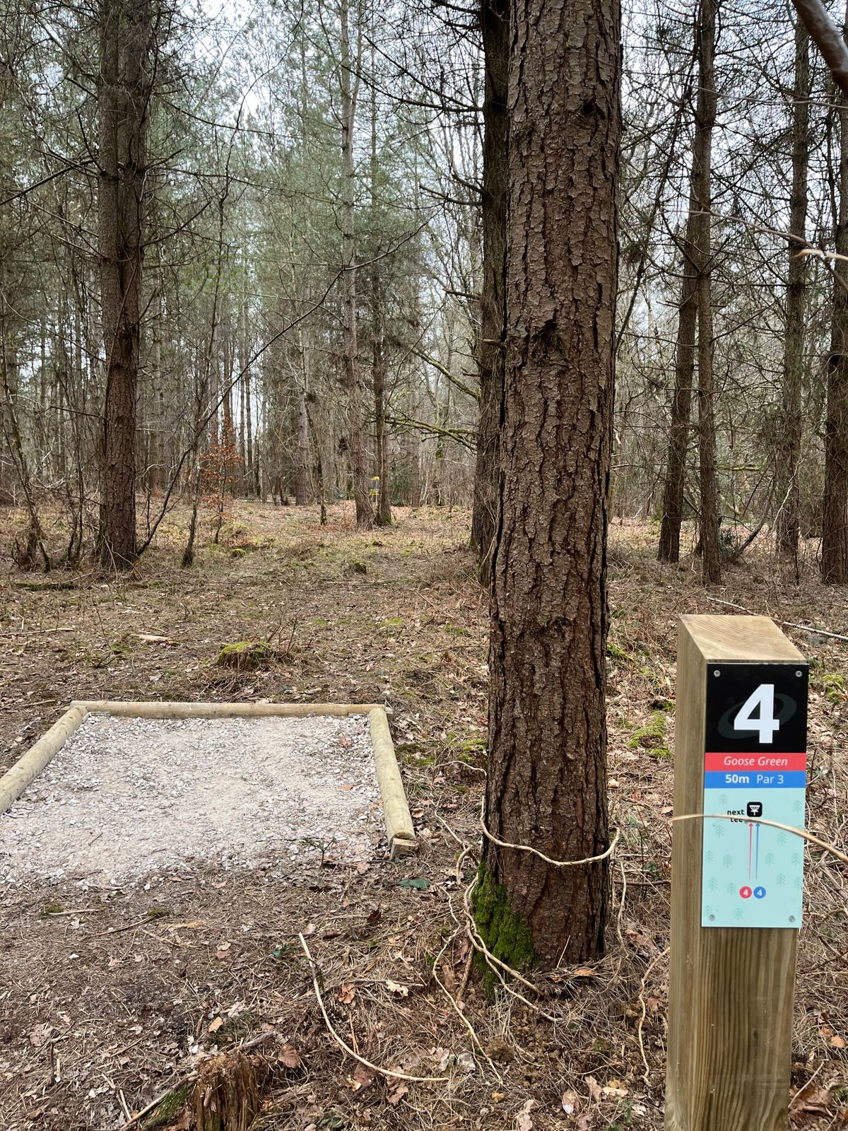 Hole 4 long and short