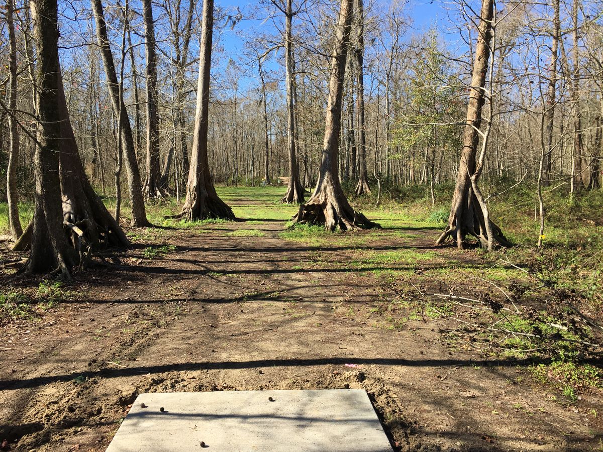 Hole 6 Red Tee