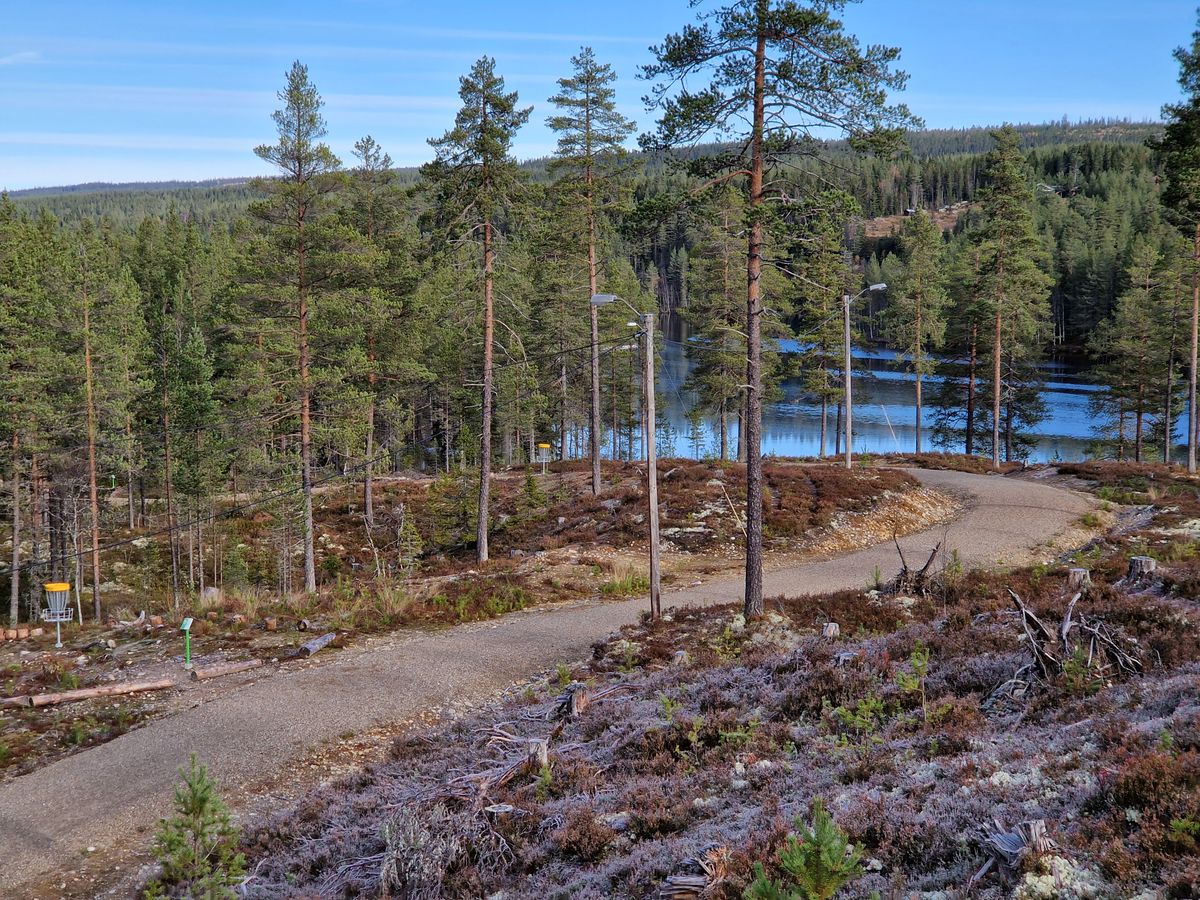 Banen følger en vei. Fin natur
