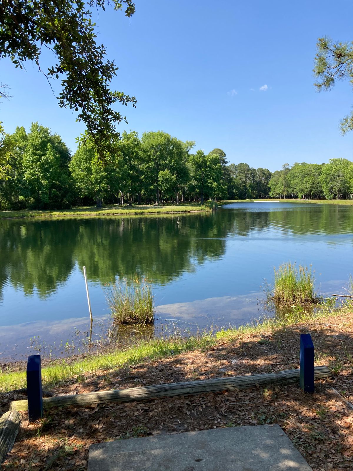 Hole 5, mislabeled as 6.