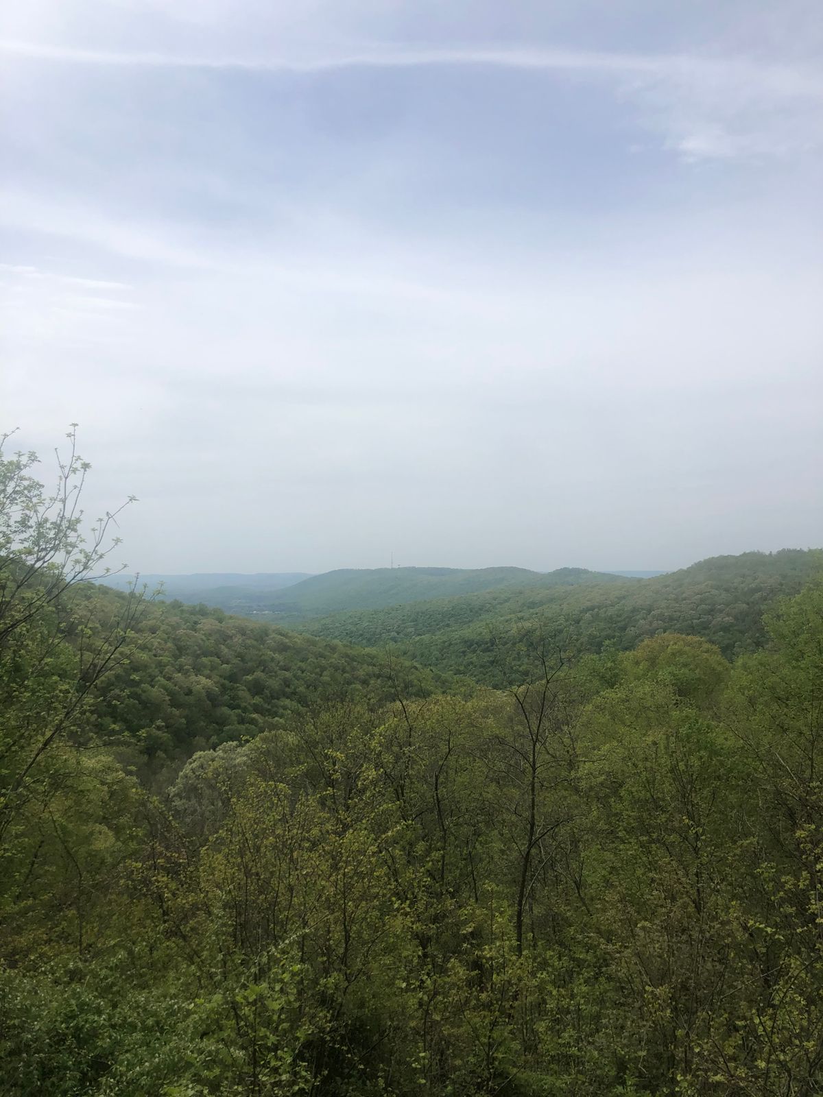 View from the park!