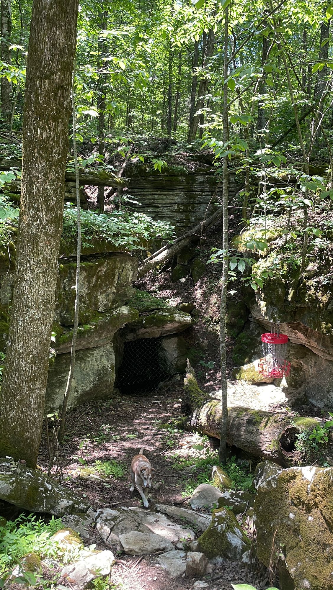 Cave on Hole 4