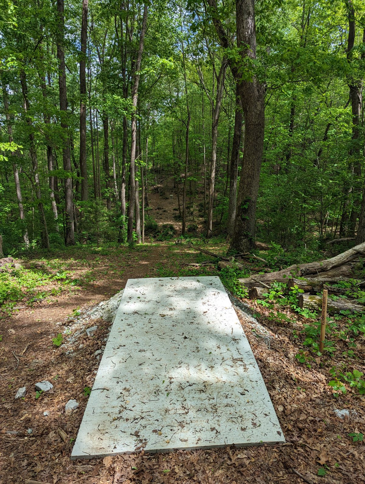 Hole 10 shorts