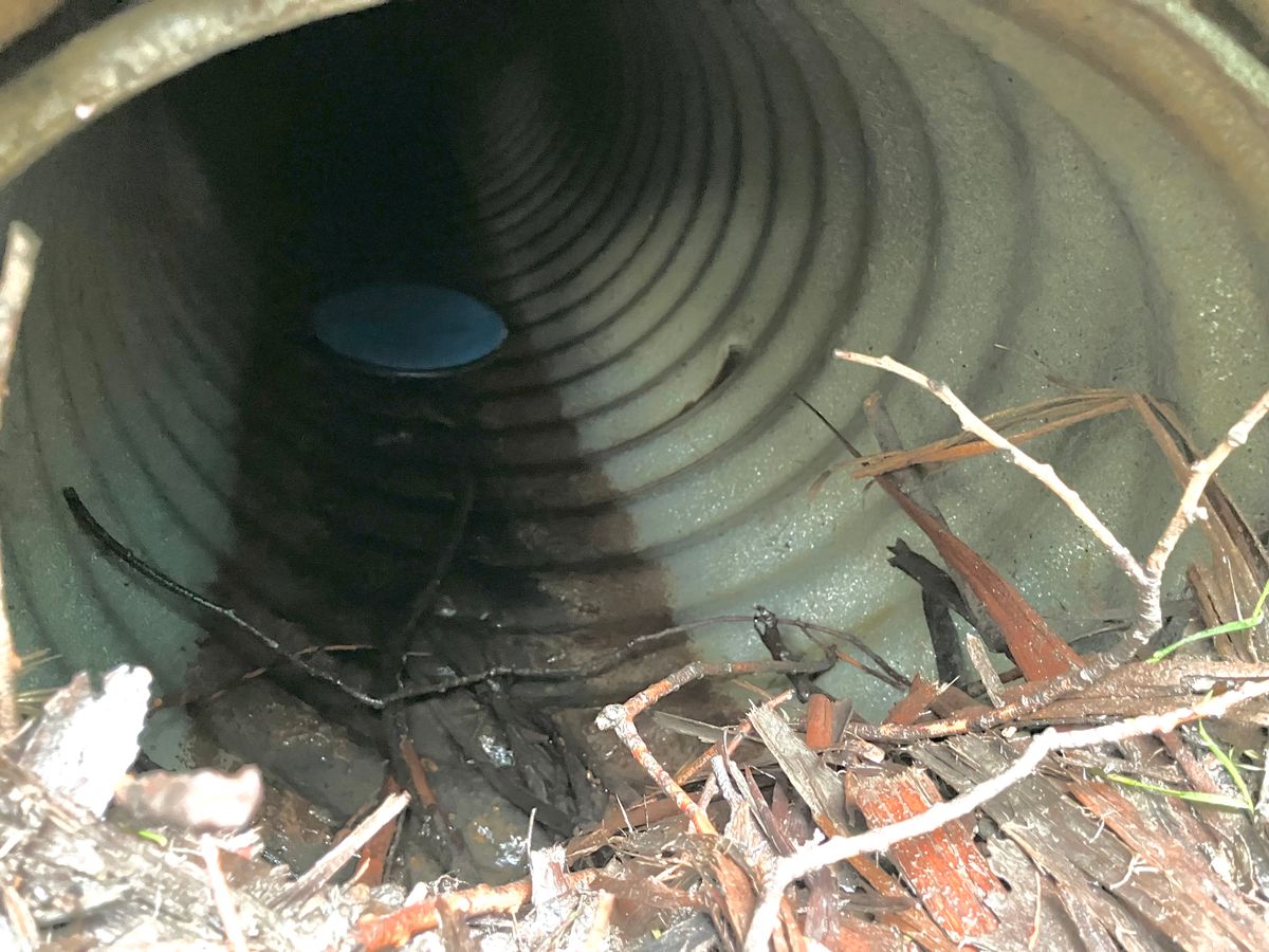 Both of our putts found their way into the drain pipe on Hole 1.