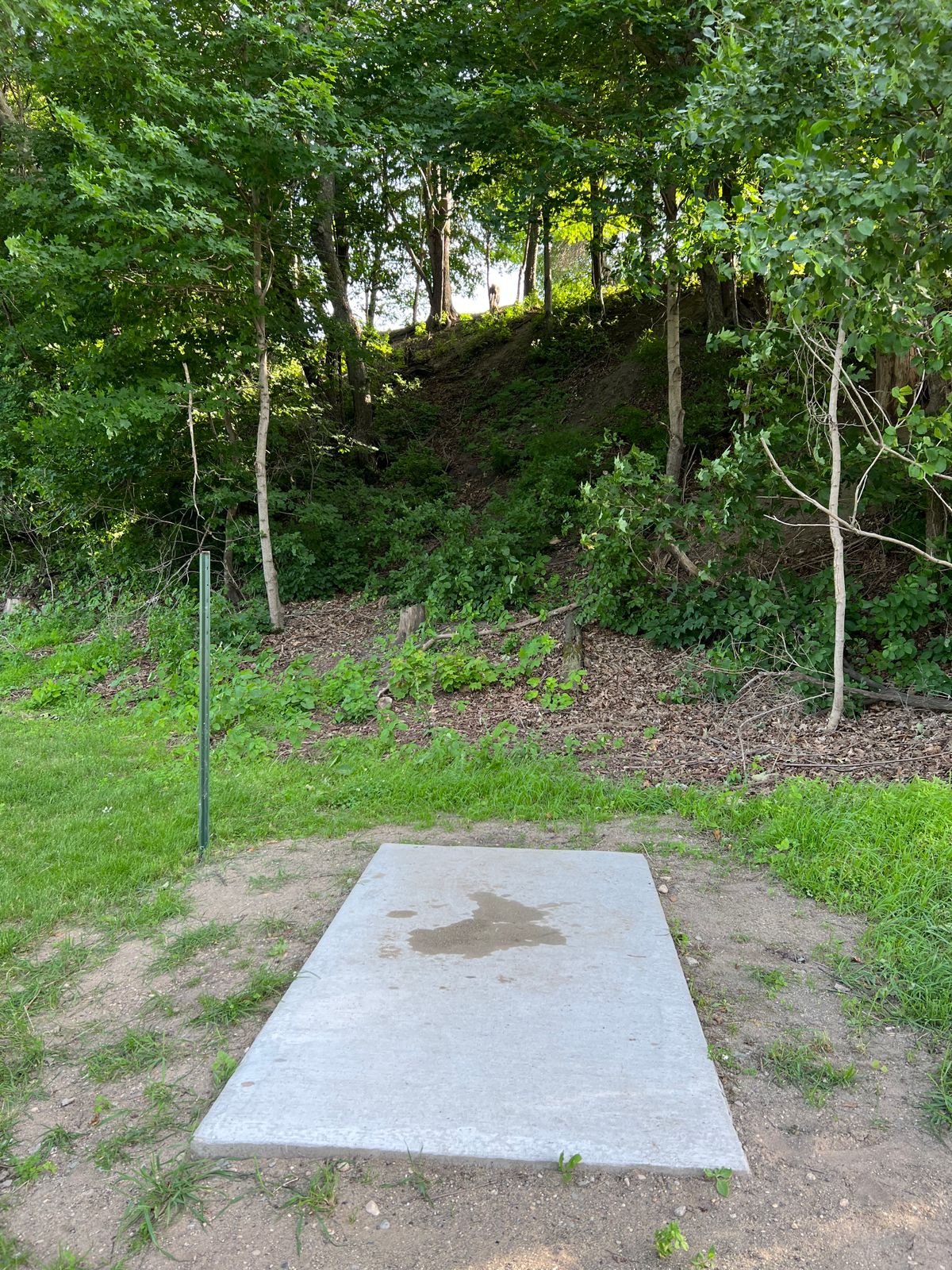 View of 14 long’s tee box. It’s way more uphill than the photo looks.