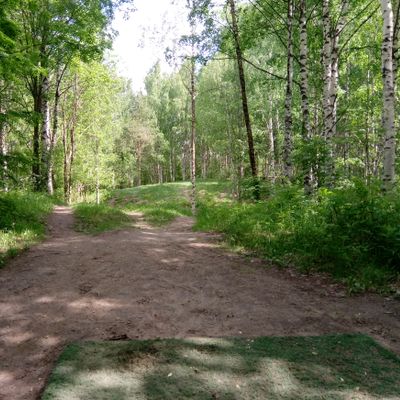 Hole #10 (10.6.2022).