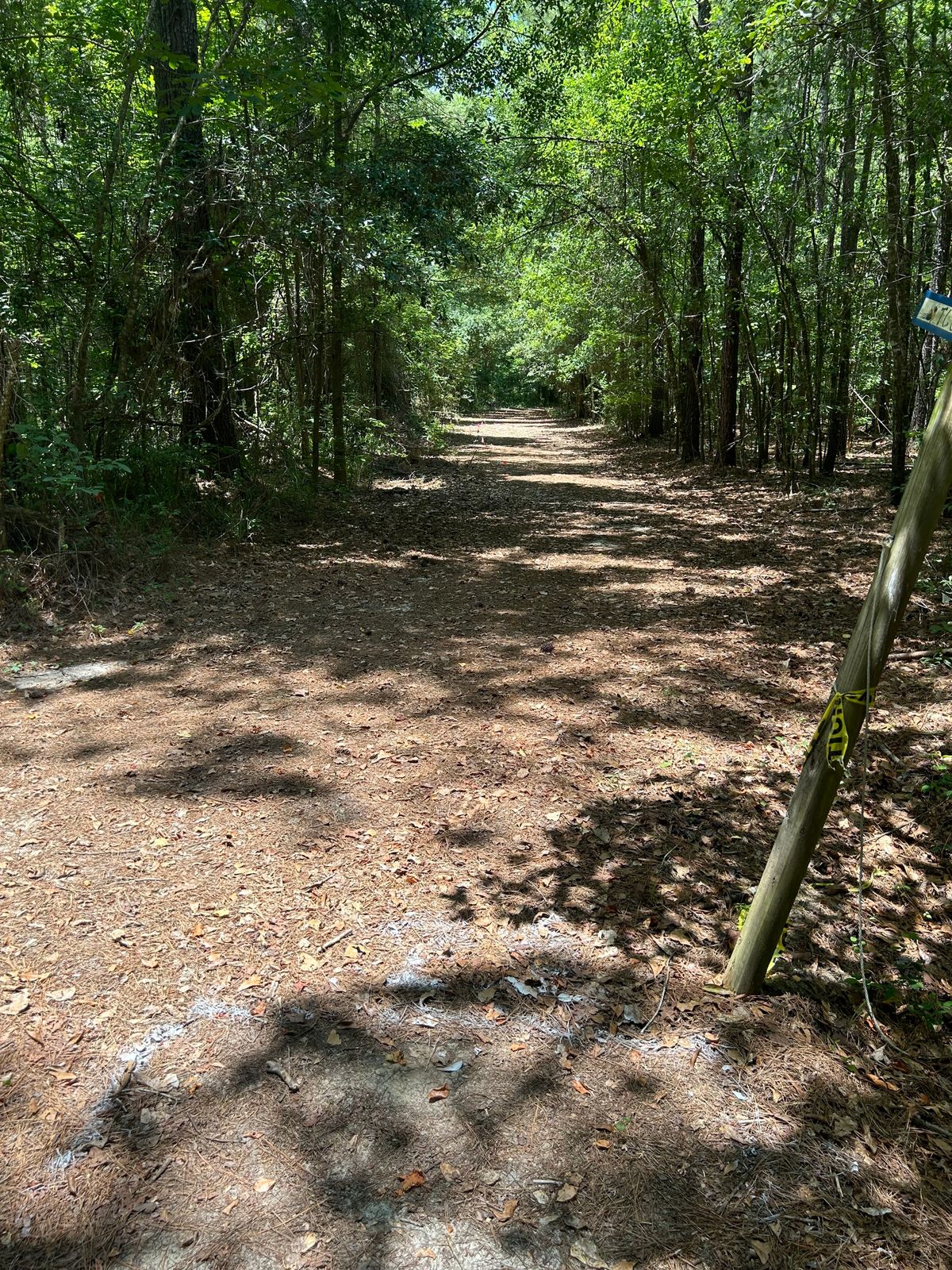Hole 11 tee pad