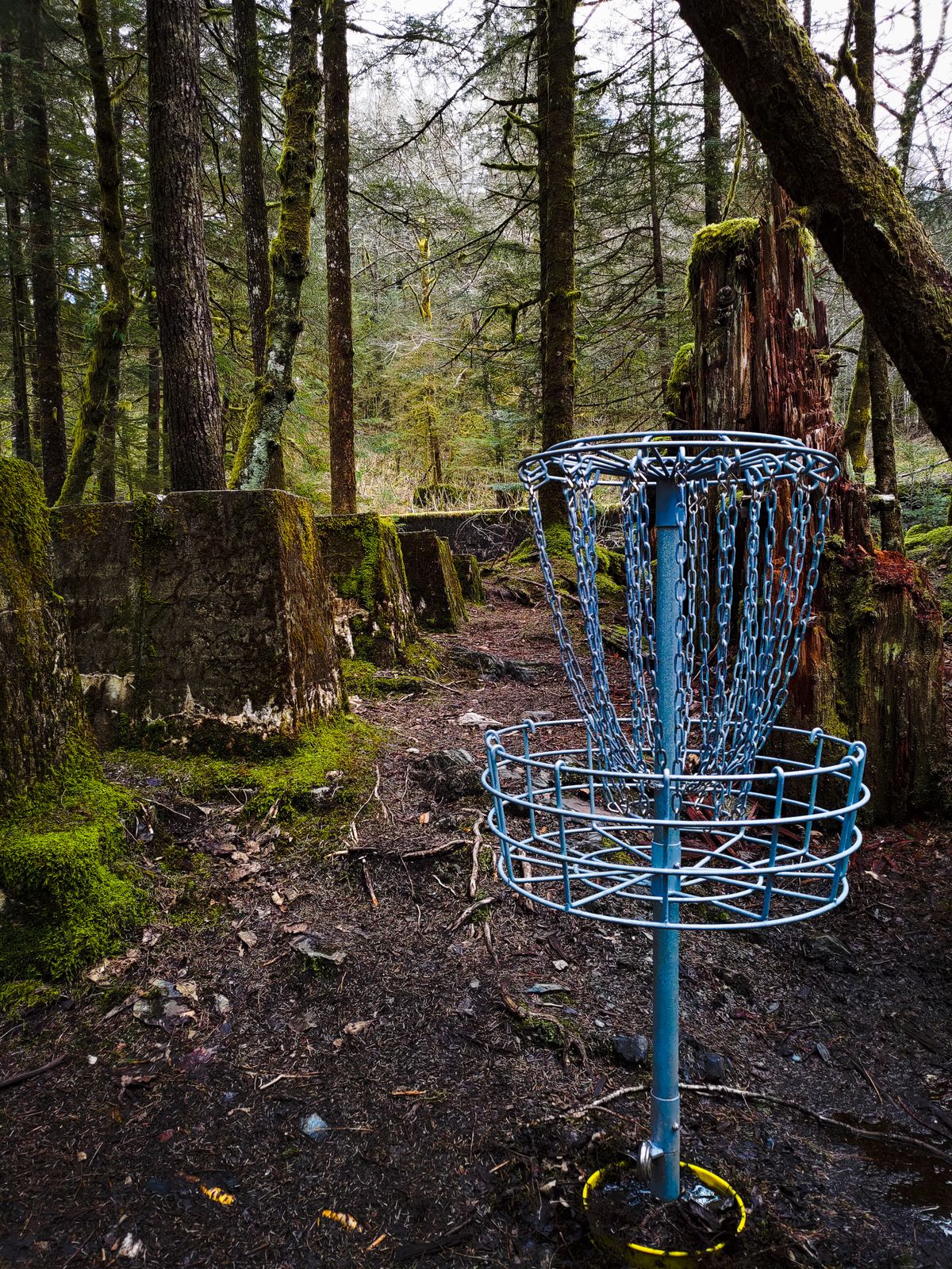 From the basket of Hole 9