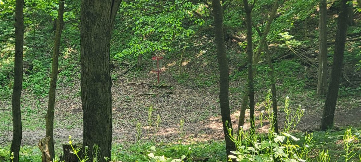 Hole 11