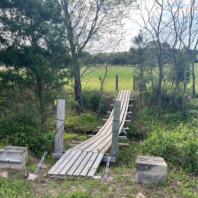 Bridge on 15