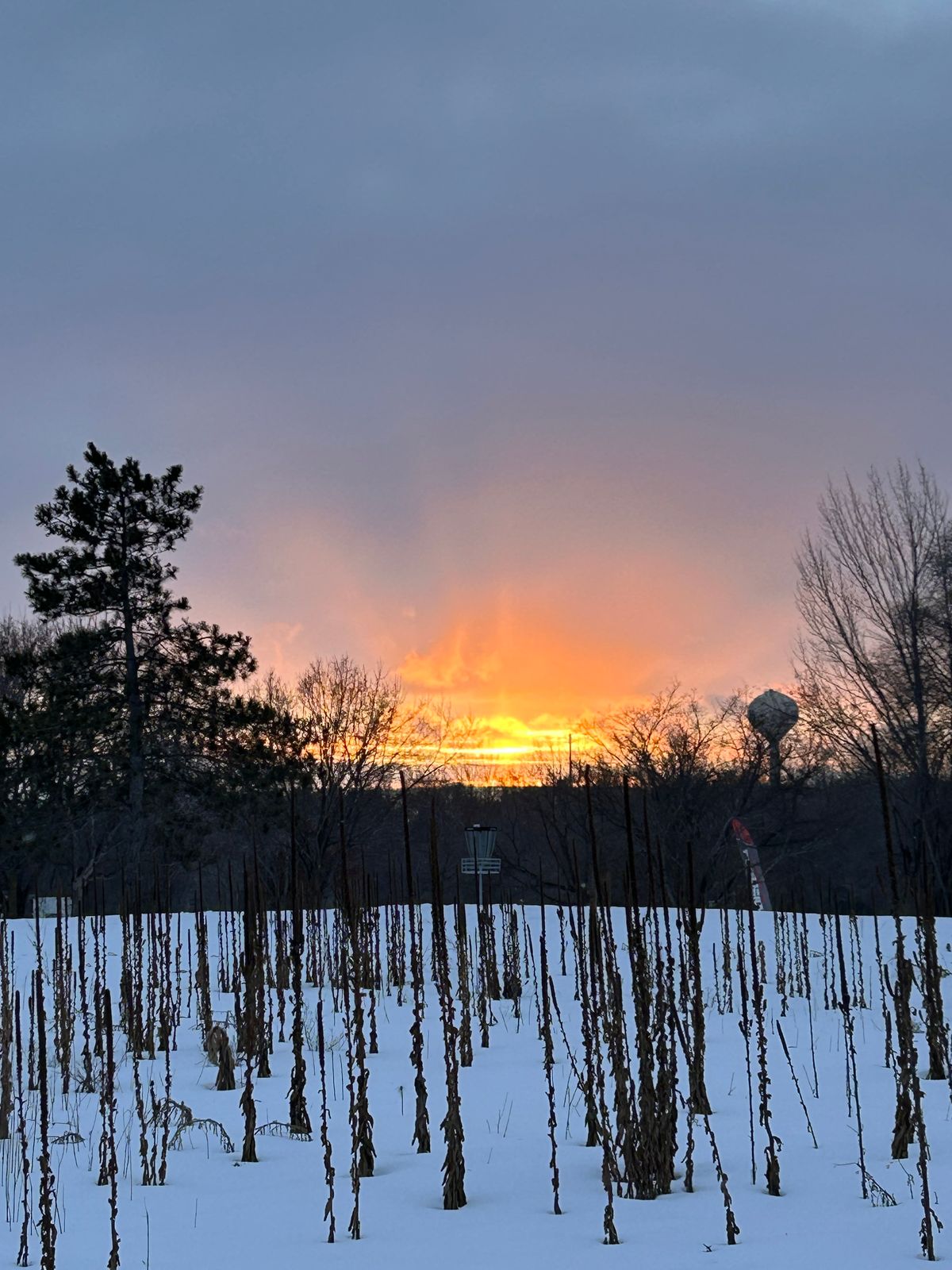 Hole 1 basket with sunset