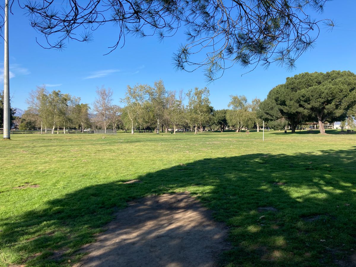 Hole #19