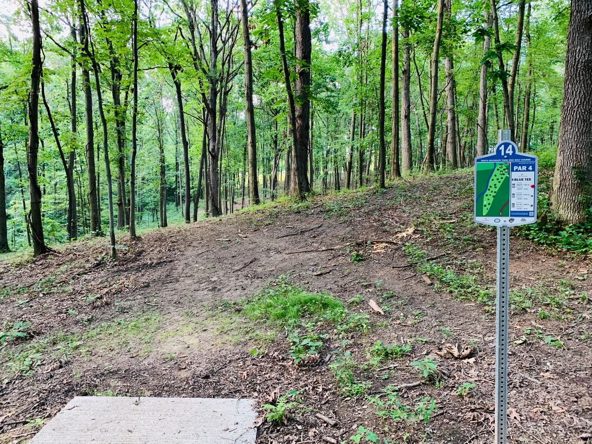 Hole 14 blue tee