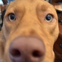 User avatar image