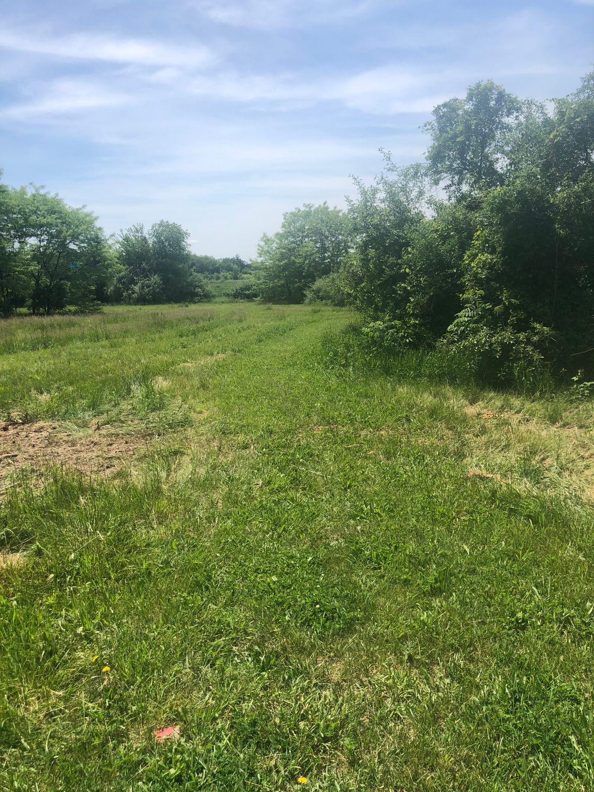 Hole 13 red tee