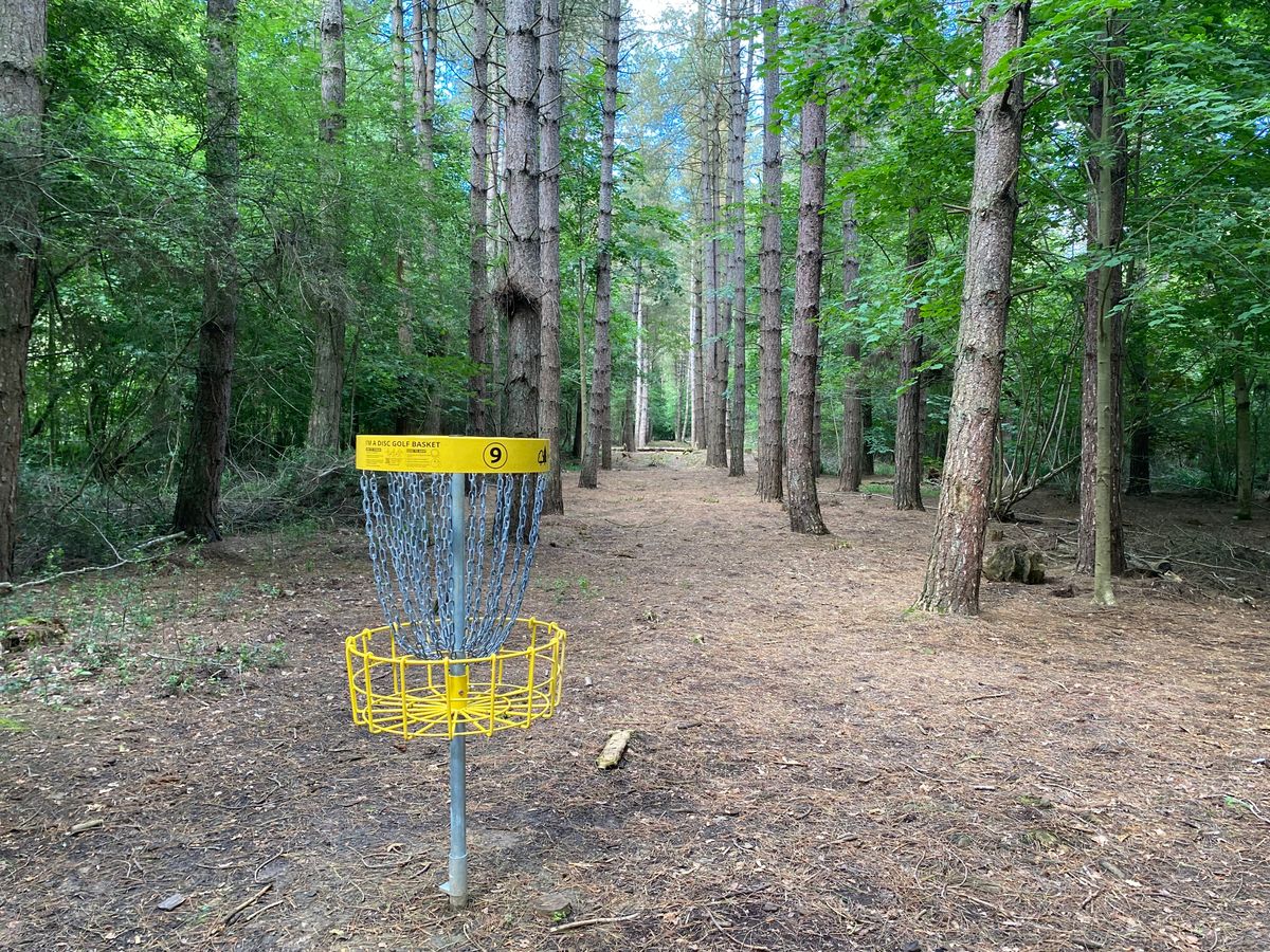 Hole 9 Basket - looking back up the fairway