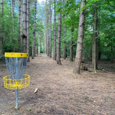 Hole 9 Basket - looking back up the fairway