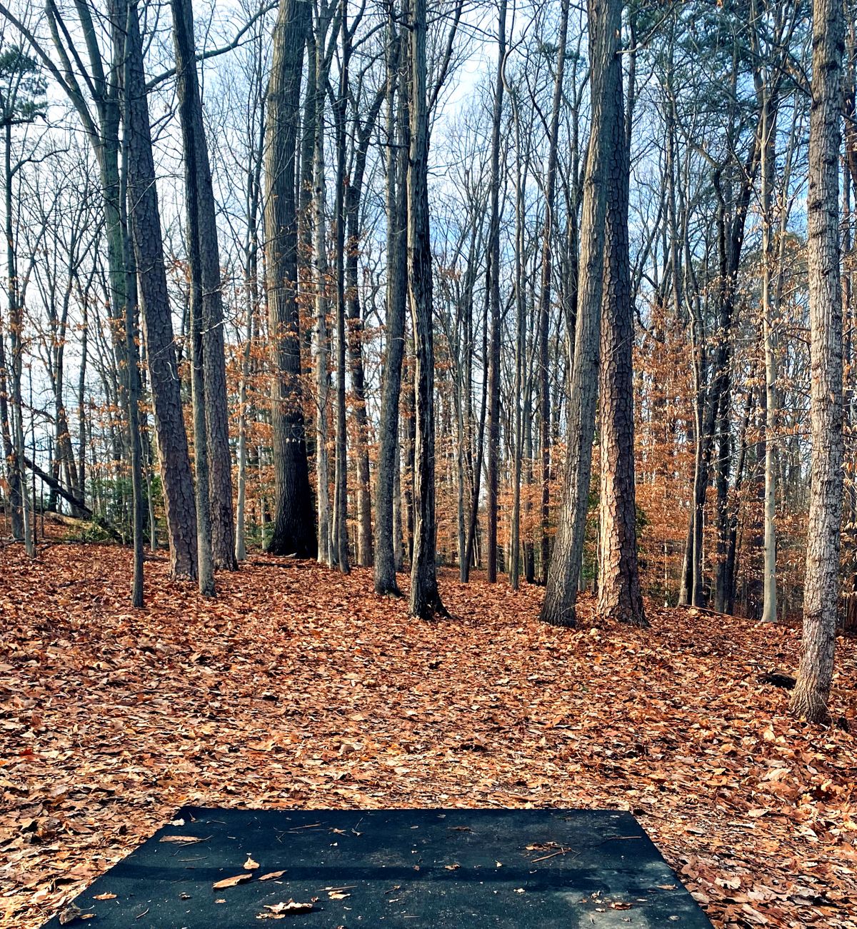Start of hole 9