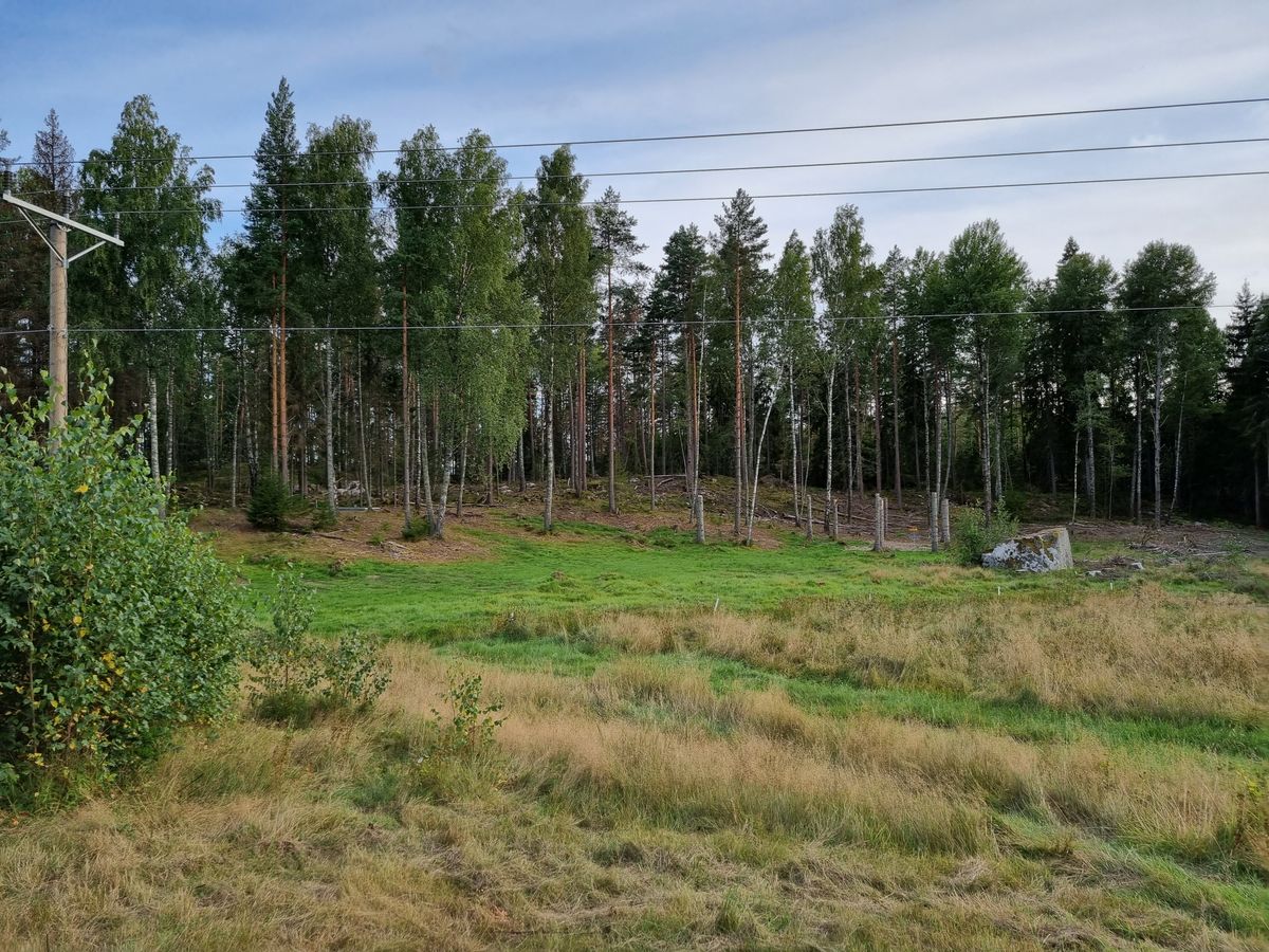 Vy från tee 9 över 18-hålsbanans hål 3 och tee 4
