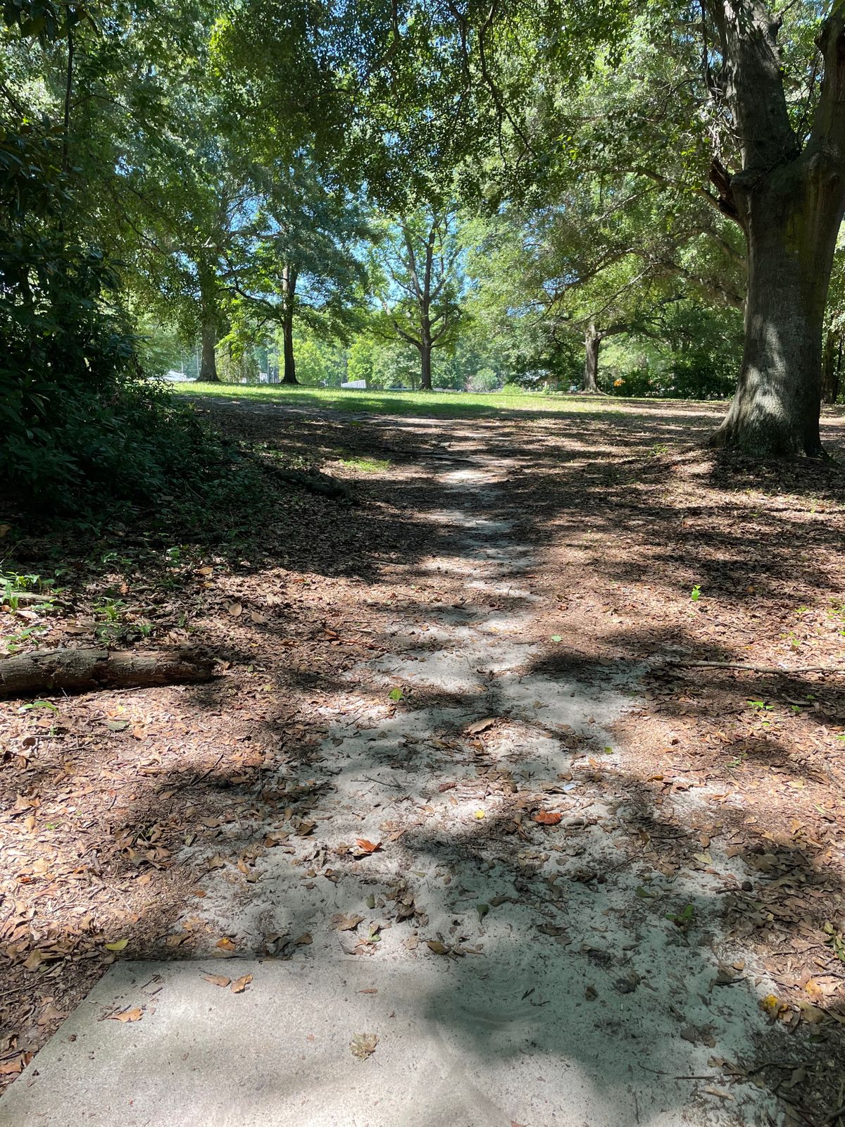 Hole #15 From The Tee Pad