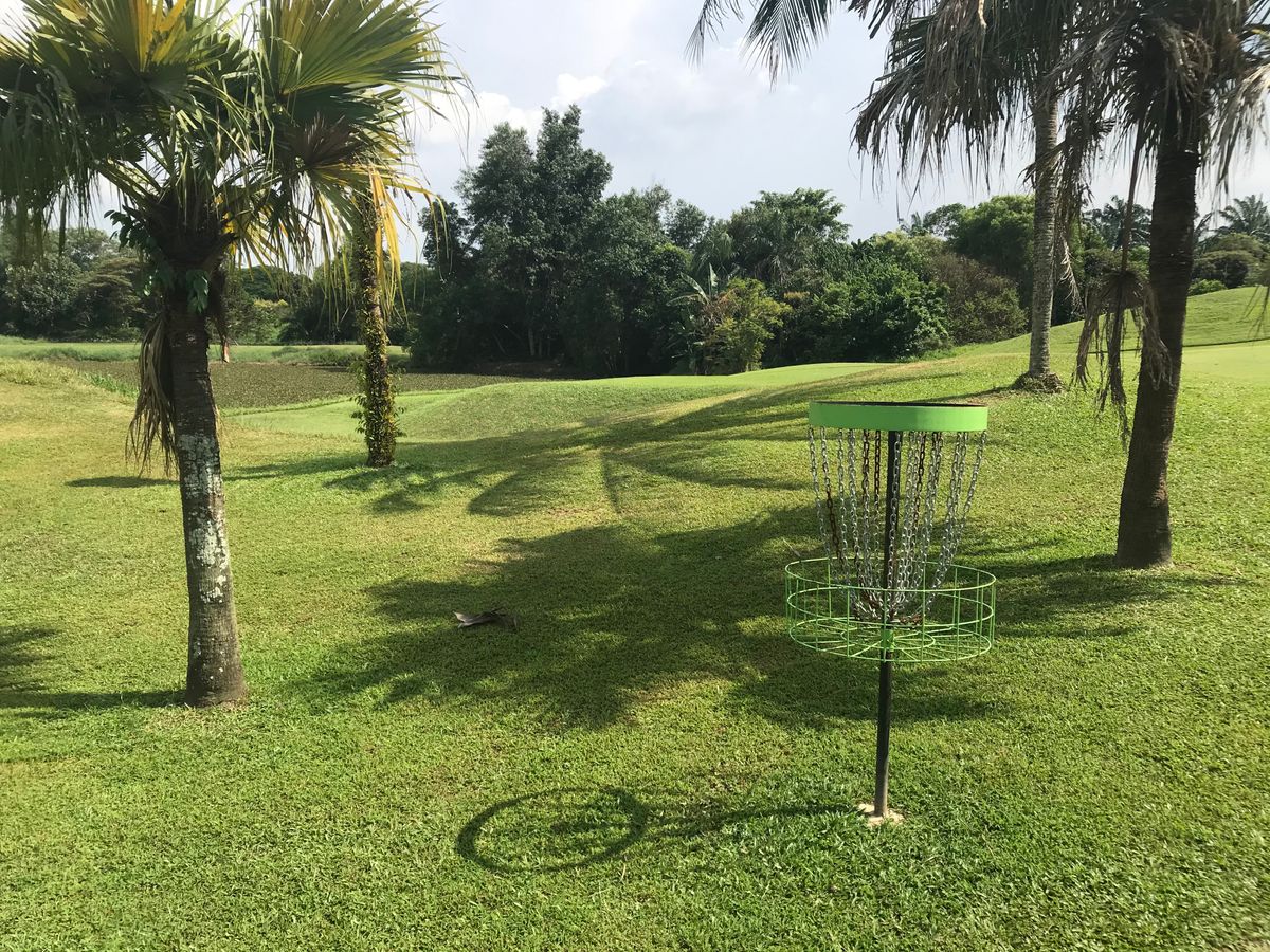 Basket for 14. Same ad 5