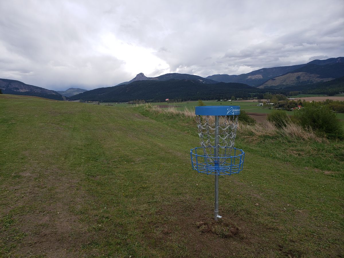 The front 9 now has prodigy t3 baskets. Back 9 is still the old vortex baskets.