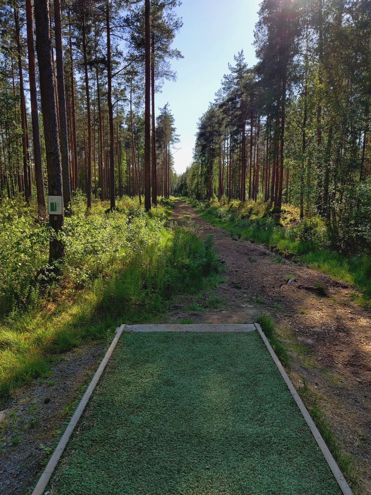 Hole 12, 194m / 636ft PAR 4 (16.6.2020)
