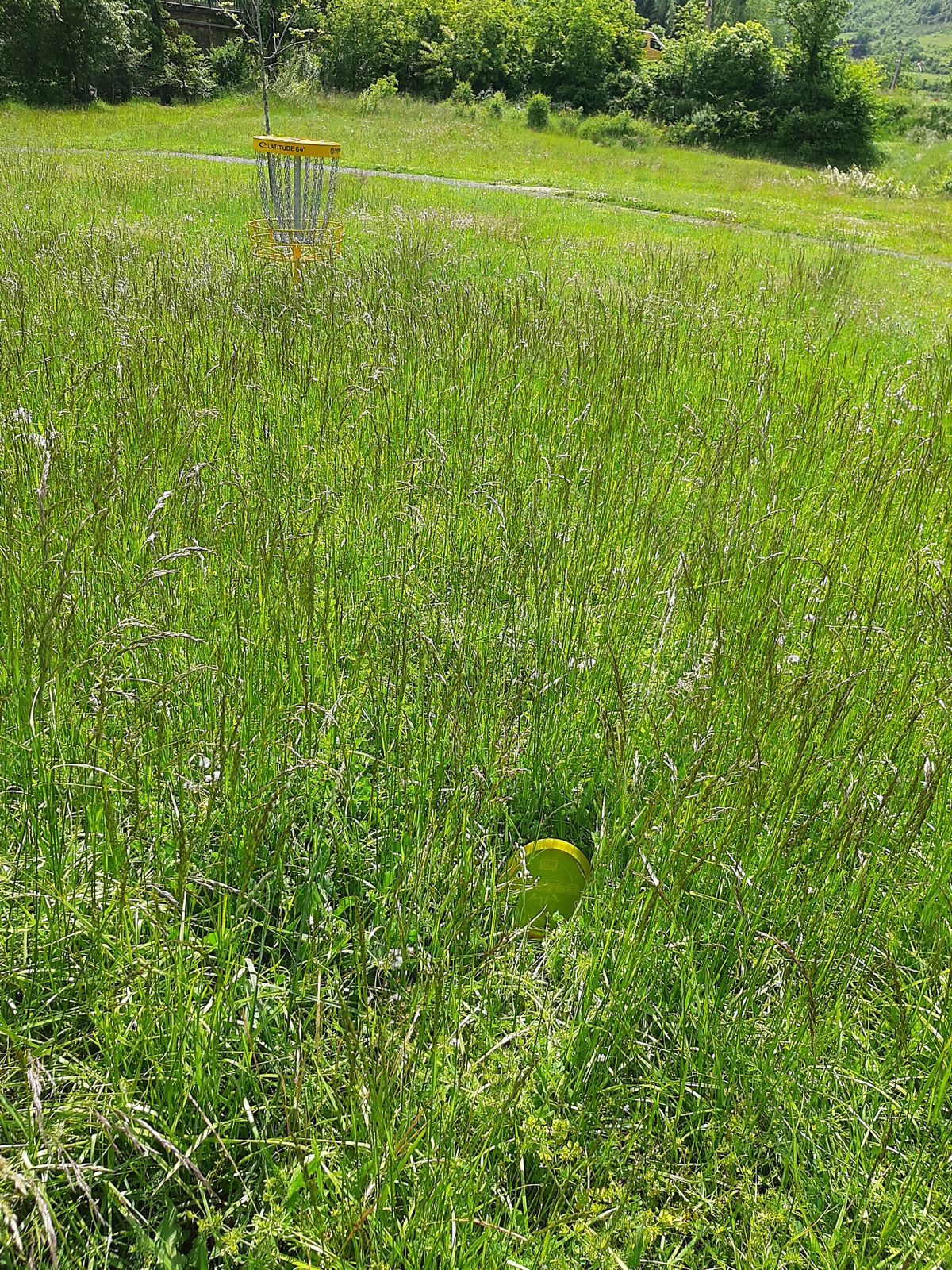 Les disques se cachent dans les herbes hautes  également sur le 9