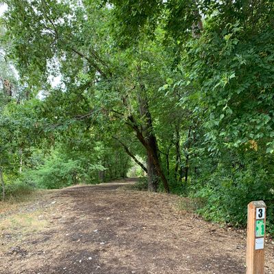 Hole 3 Tee Playing Alongside The Creek