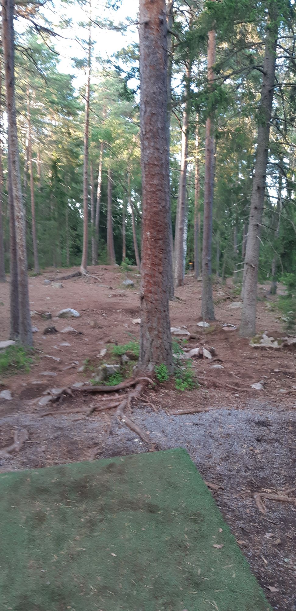 Hole 9