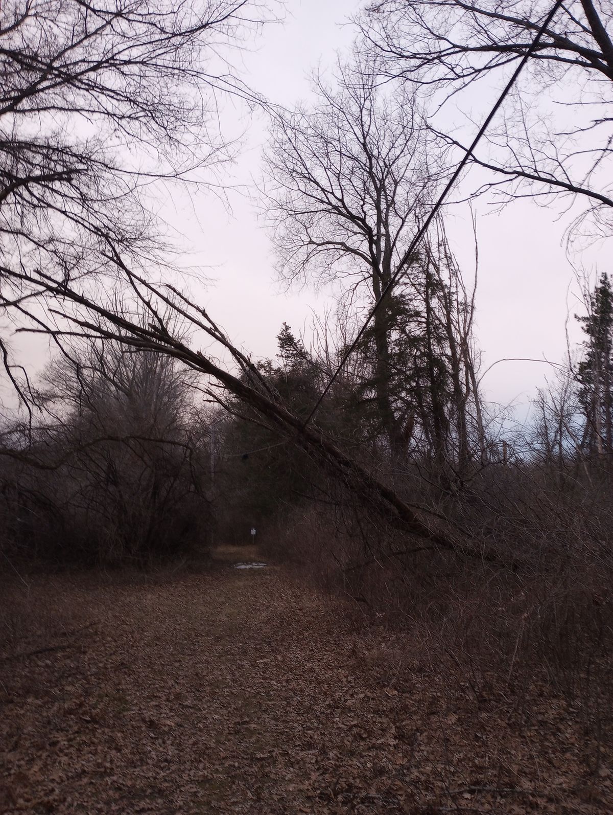 Hazard on walk from 2 to 3