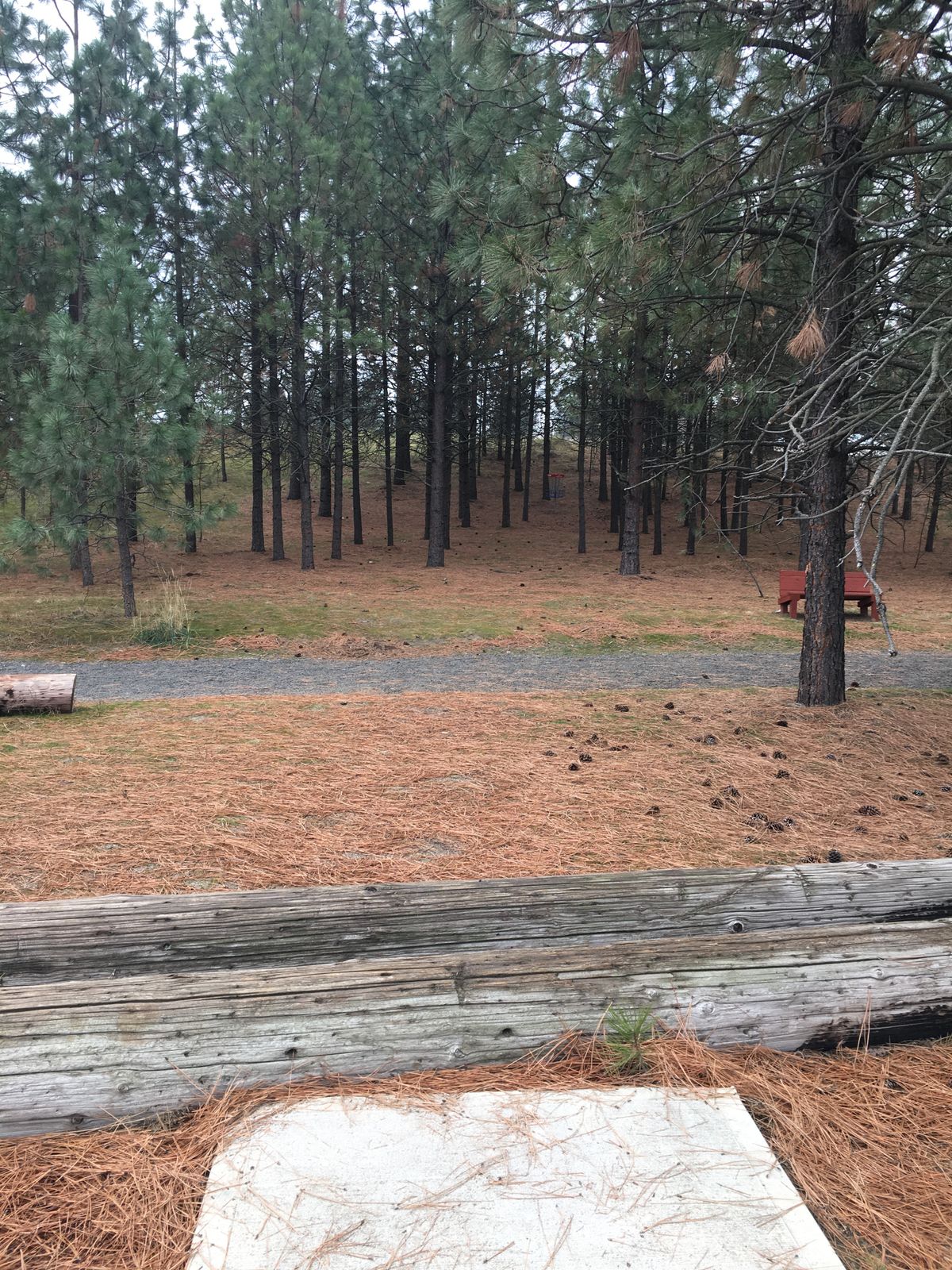 View from hole 7 tee box