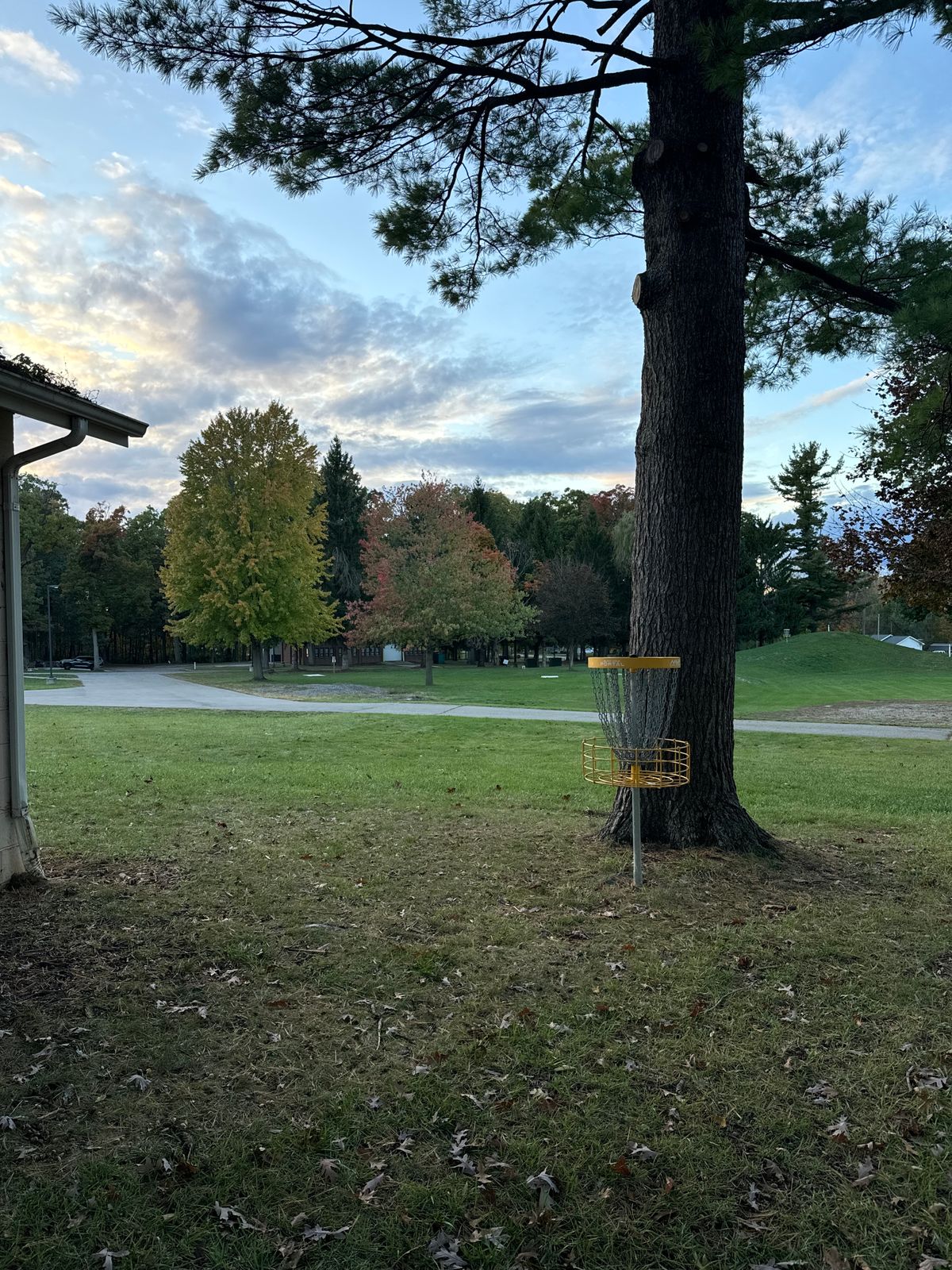 13 Basket (looking back at fairways)